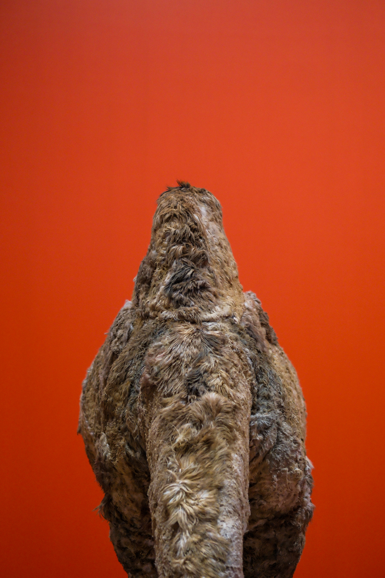 Light, Color, Shape 2